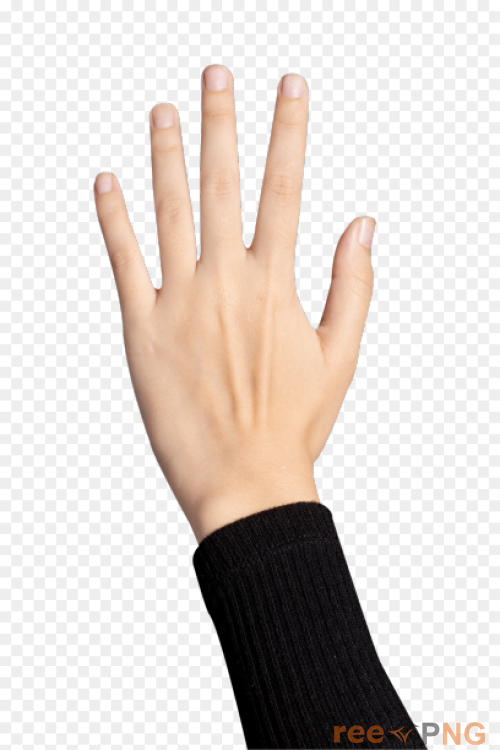 Five finger Hand Transparent PNG - Premium General element for professional editing and printing.