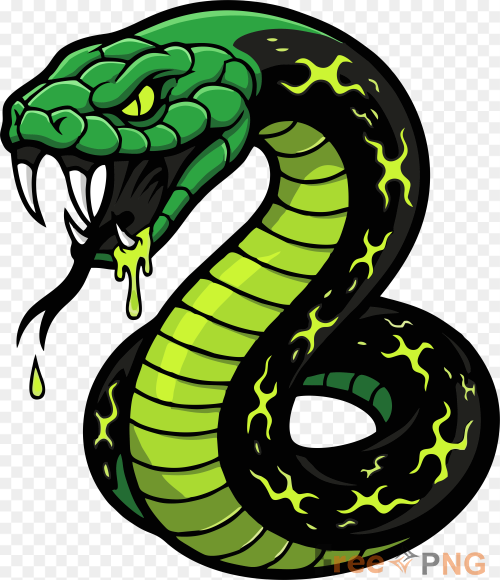 Toxic Serpent Mascot Logo Venom Snake Flat Design Transparent PNG - Premium General element for professional editing and prin